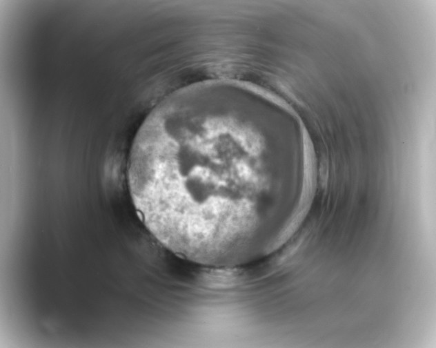 X0000088750671200706212116