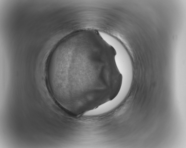 X0000088750673200706212115