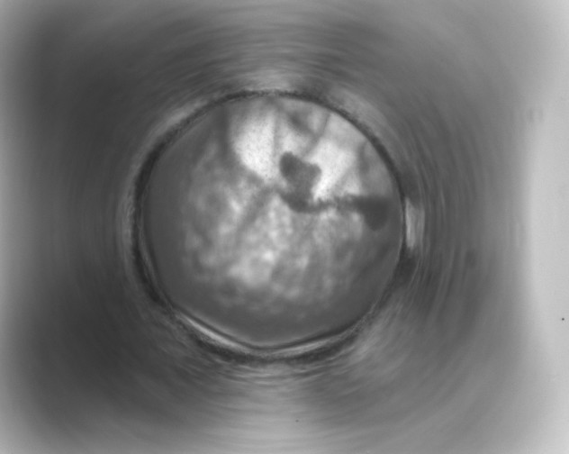 X0000088750675200706212115