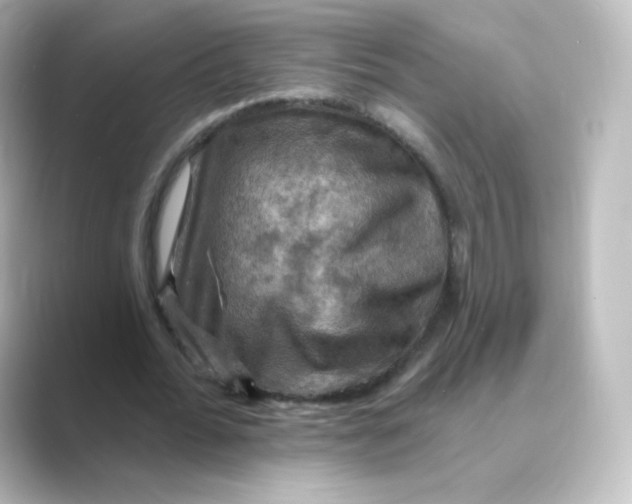 X0000088750676200706212115