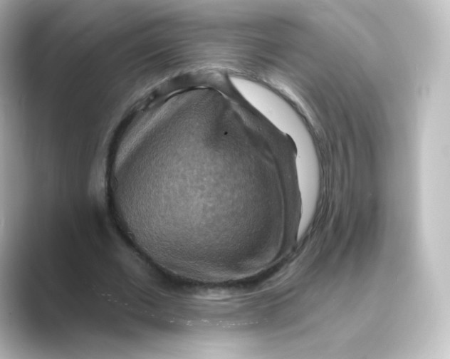 X0000088750677200706212115