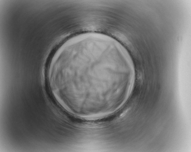 X0000088750678200706212115