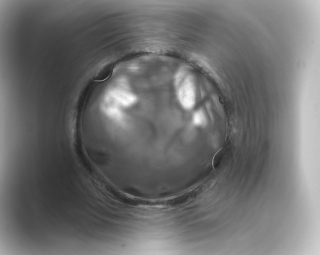 X0000088750679200706212115