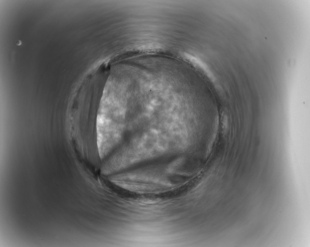 X0000088750684200706212115