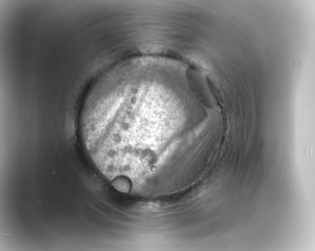 X0000088750687200706212115