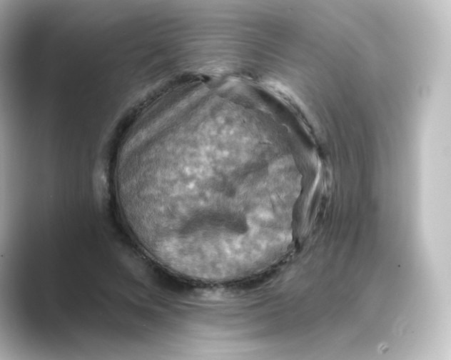 X0000088750688200706212115