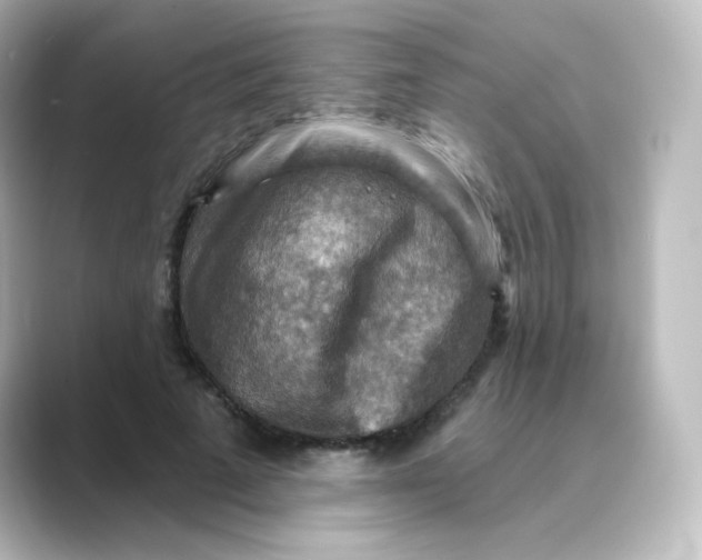 X0000088750689200706212115