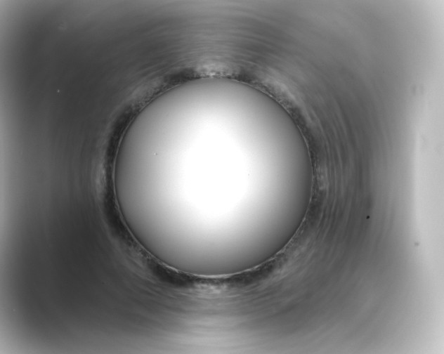 X0000088750690200706212115