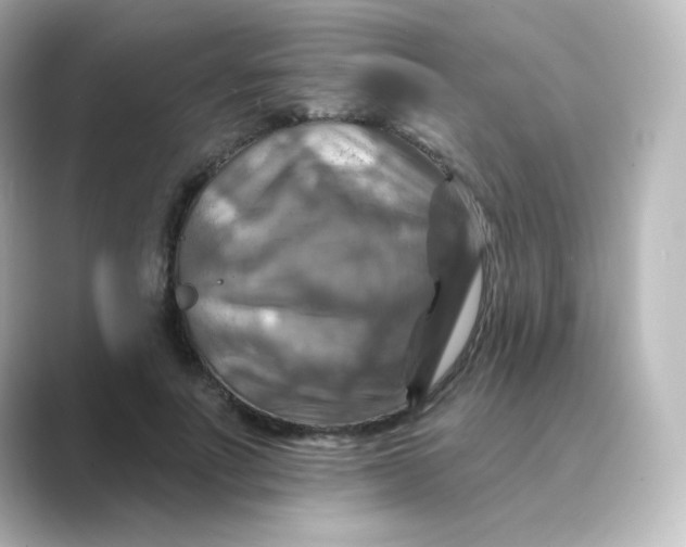 X0000088750691200706212115