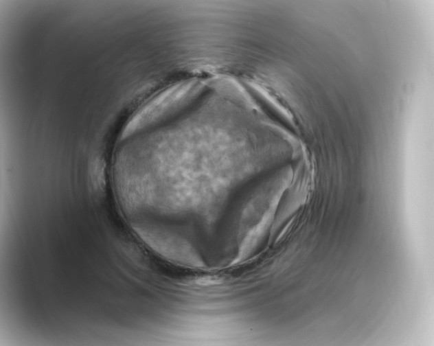 X0000088750692200706212115