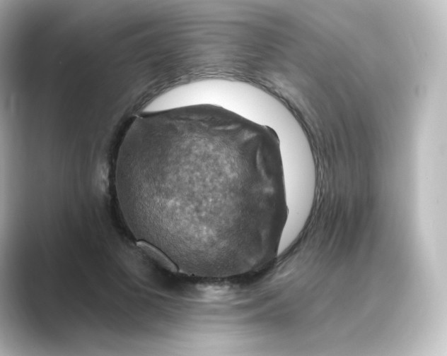 X0000088750693200706212115