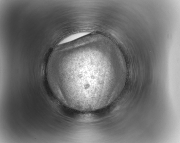 X0000088750695200706212115