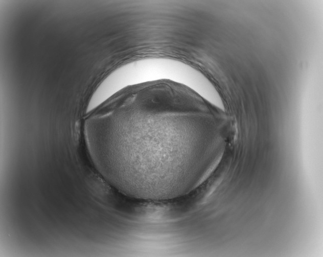 X0000088750697200706212115