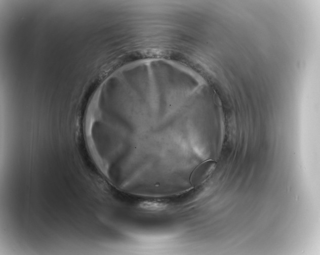 X0000088750699200706212115