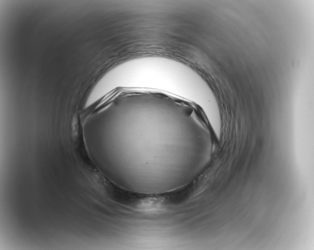 X0000088750700200706212115