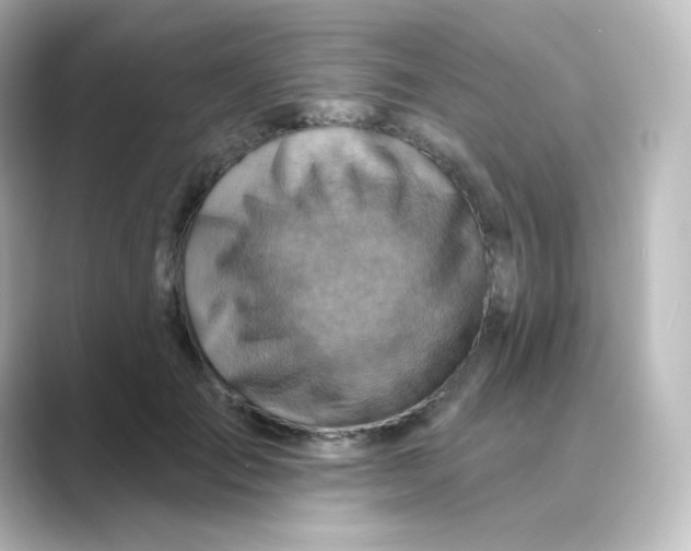 X0000088750701200706212115