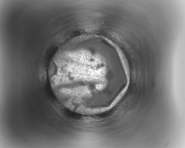 X0000088750703200706212115