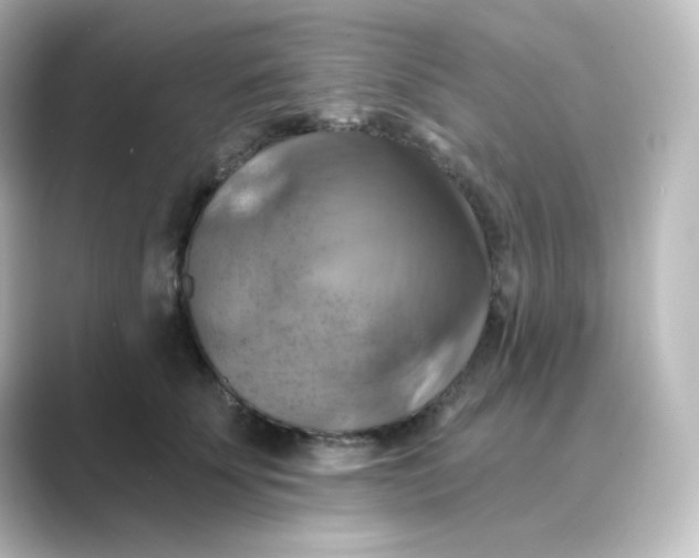 X0000088750707200706212115