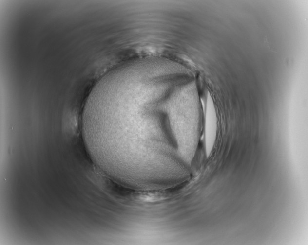 X0000088750709200706212115