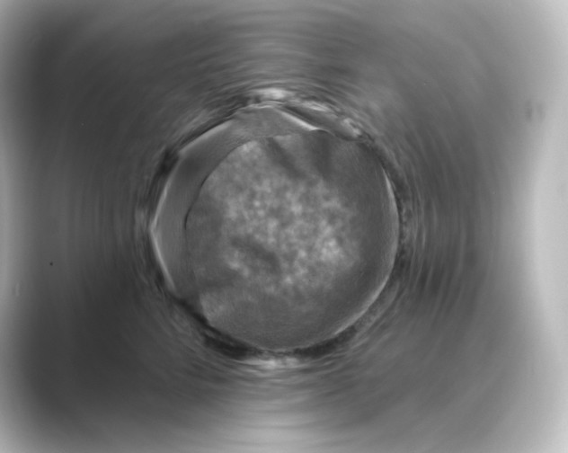 X0000088750712200706212115