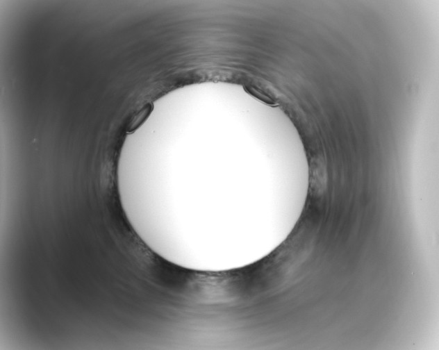 X0000088750713200706212115