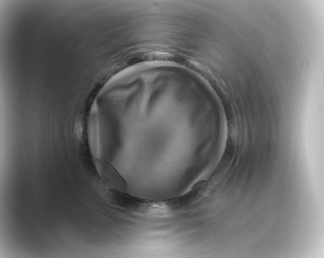 X0000088750715200706212115