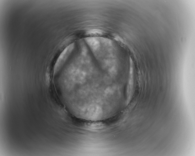 X0000088750716200706212115