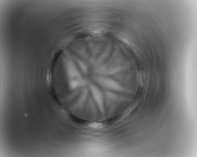 X0000088750718200706212115