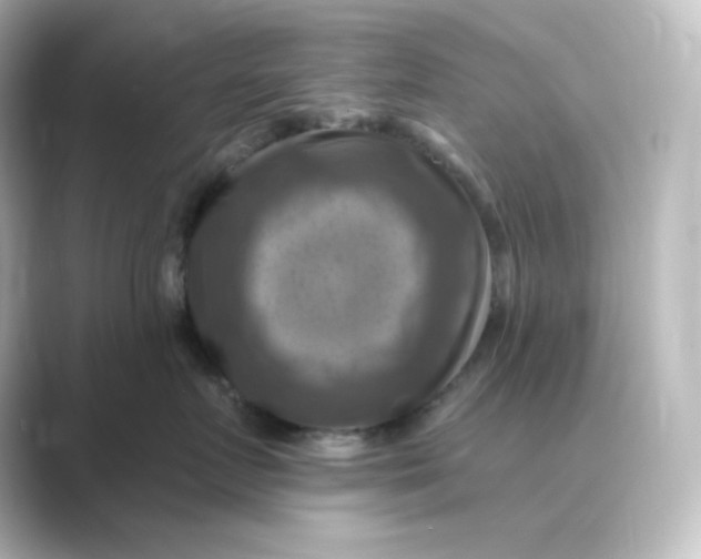 X0000088750719200706212115