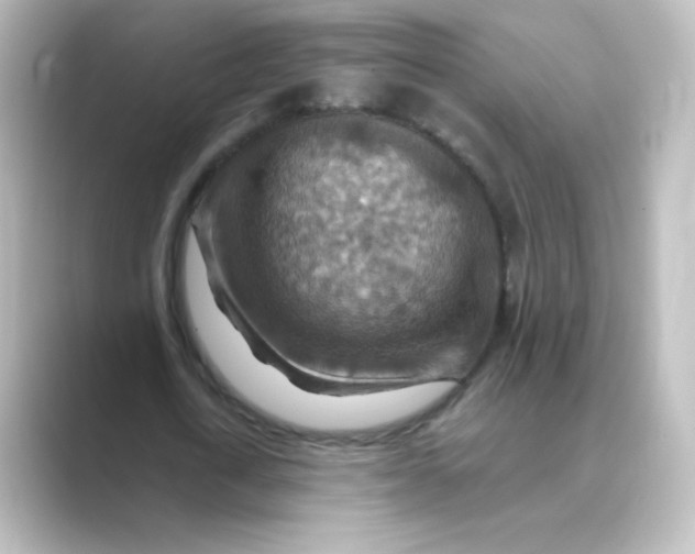 X0000088750722200706212114