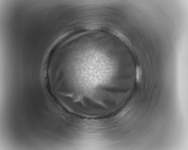 X0000088750723200706212114