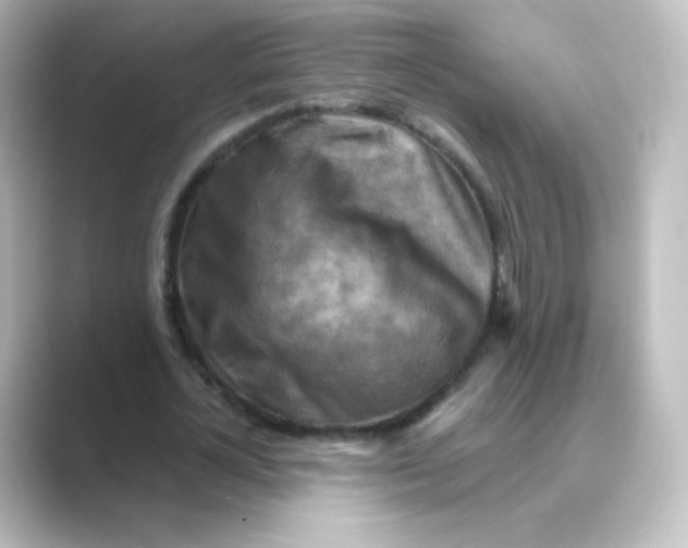 X0000088750724200706212114