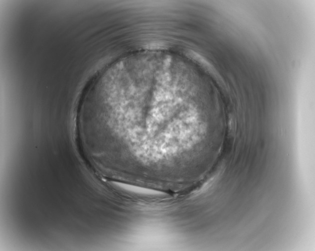 X0000088750725200706212114