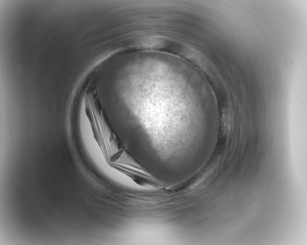 X0000088750726200706212114