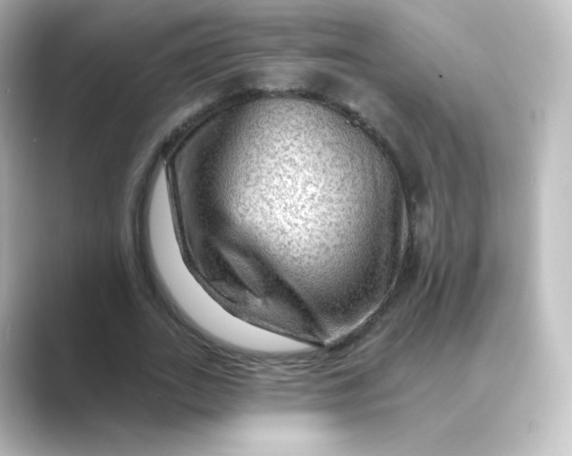 X0000088750727200706212114