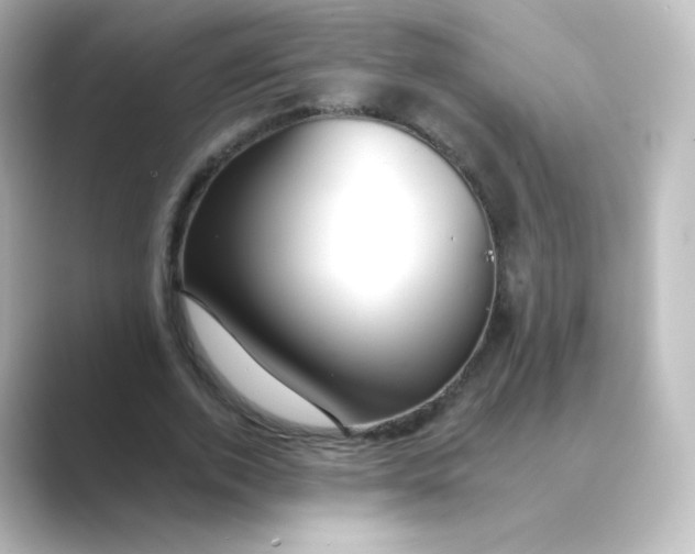 X0000088750728200706212114