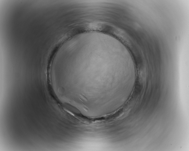 X0000088750729200706212114