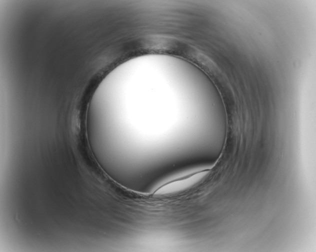 X0000088750731200706212114