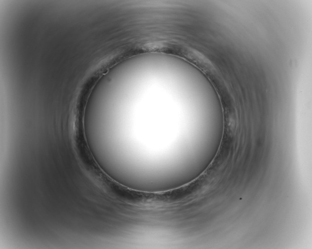 X0000088750732200706212114