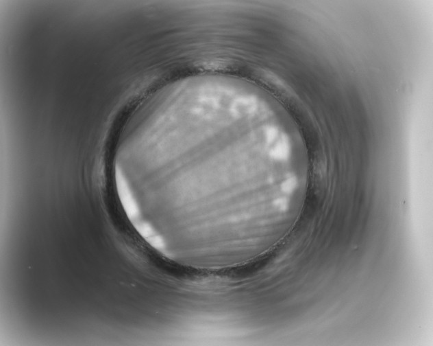 X0000088750734200706212114