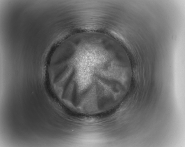 X0000088750735200706212114