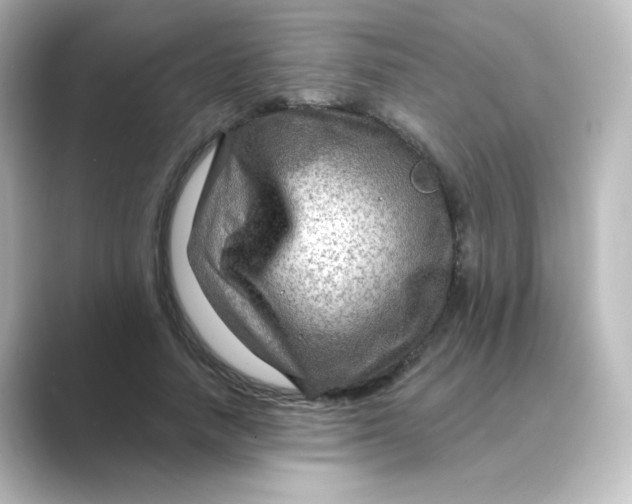 X0000088750738200706212114