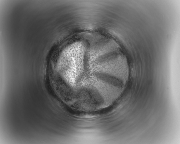 X0000088750739200706212114