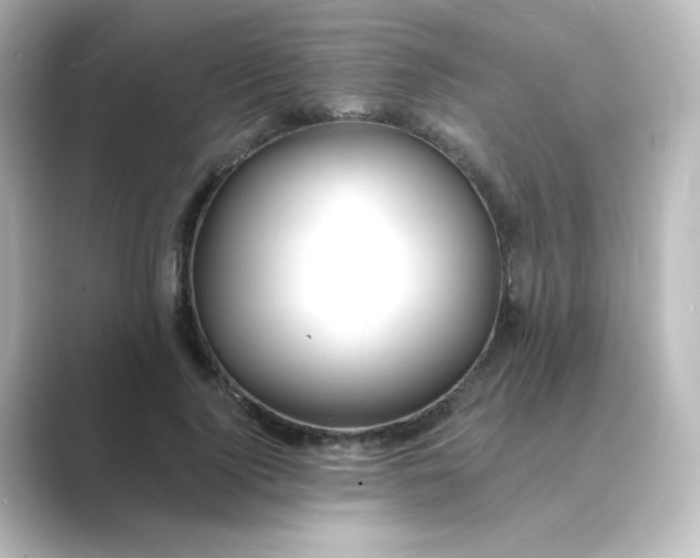 X0000088750740200706212114