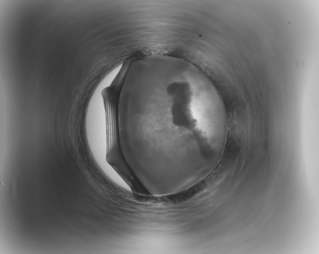 X0000088750742200706212114