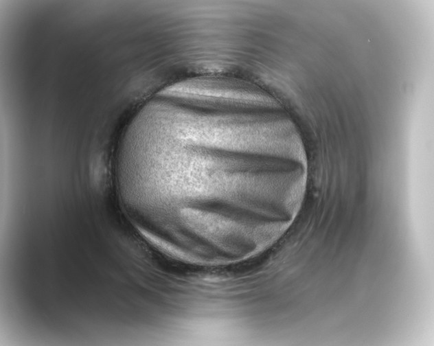 X0000088750743200706212114