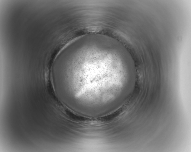 X0000088750745200706212114