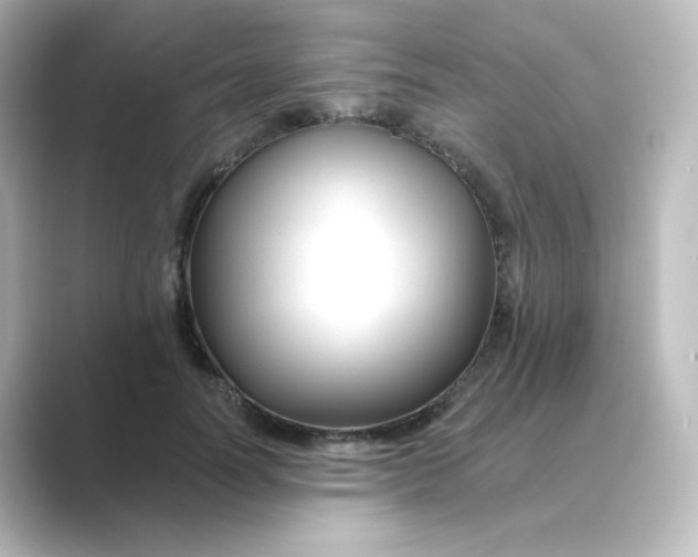 X0000088750746200706212114