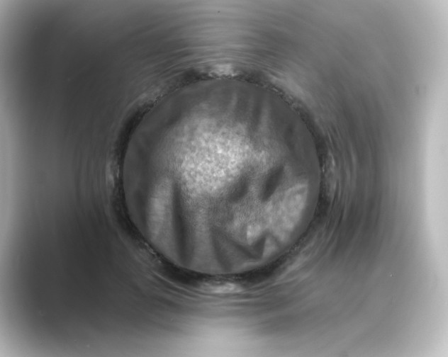 X0000088750747200706212114