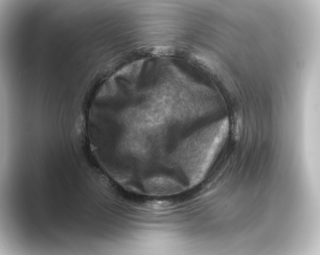 X0000088750748200706212114